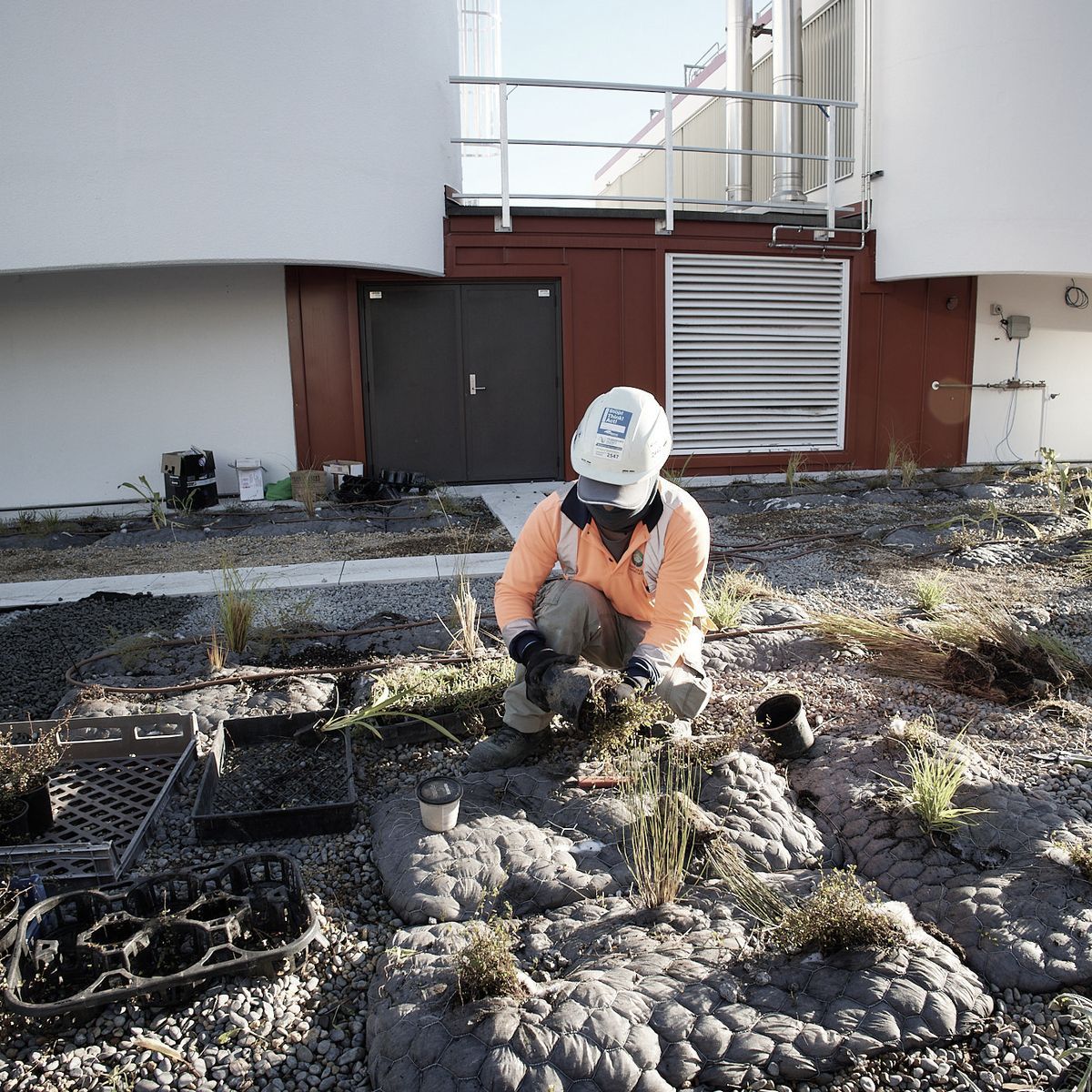 Bringing green sanctuaries to the city