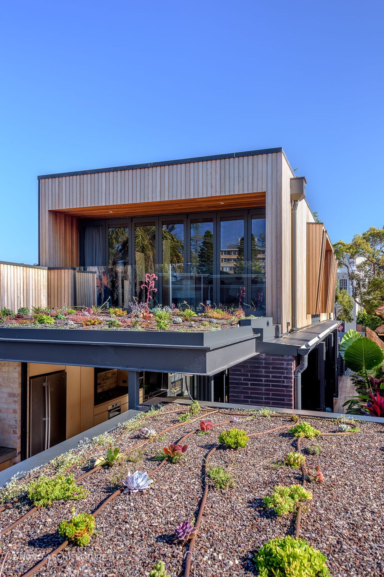 Zyan House by Noho Architecture | Photography by The Guthrie Project