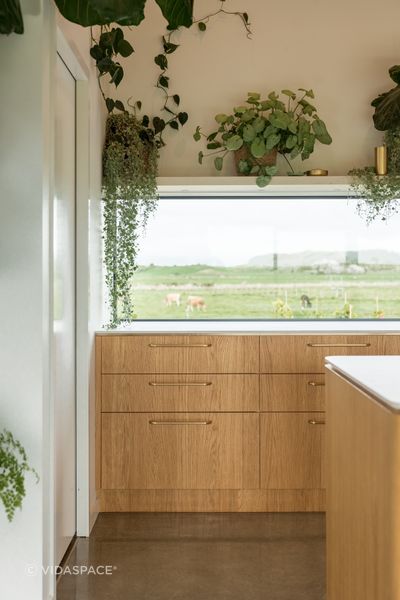 Oturoa Home - Allegro Brushed Querkus Veneer