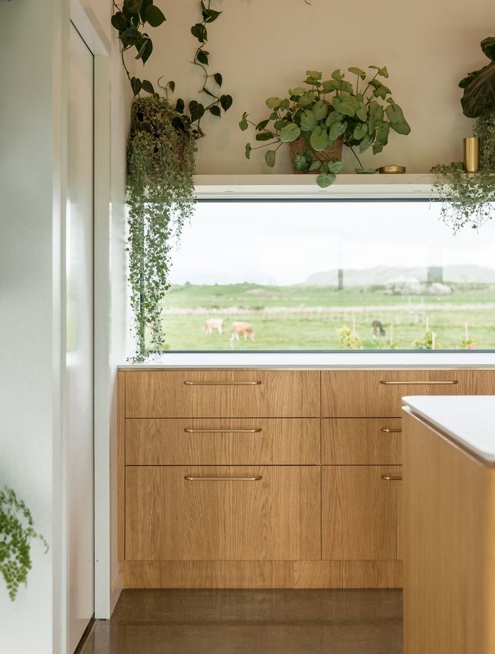 Oturoa Home - Allegro Brushed Querkus Veneer