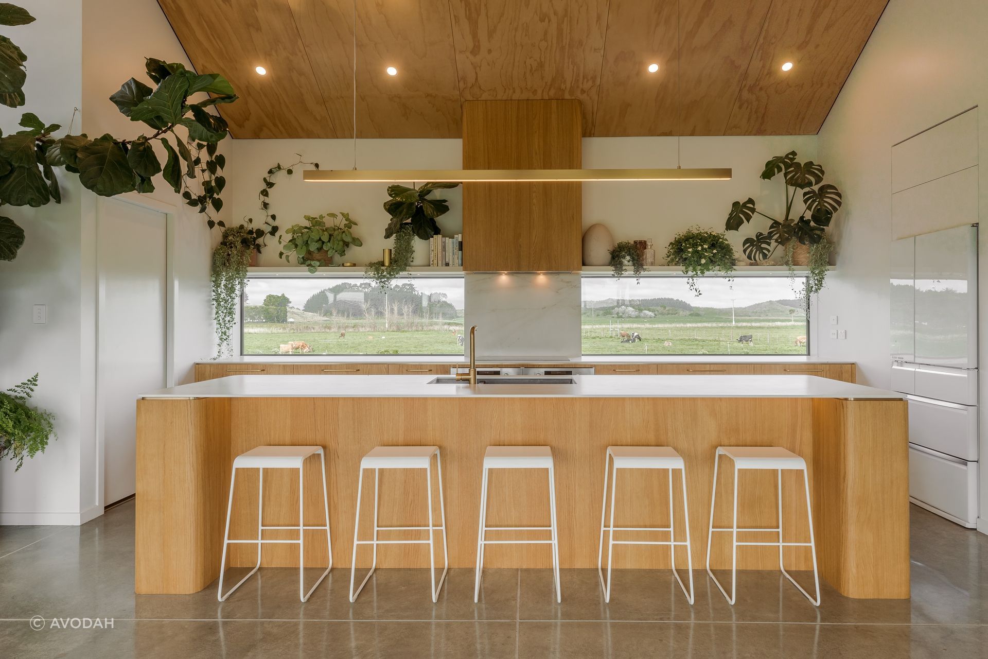 Oturoa Home by Workshop Designs | Querkus Allegro Brushed Veneer