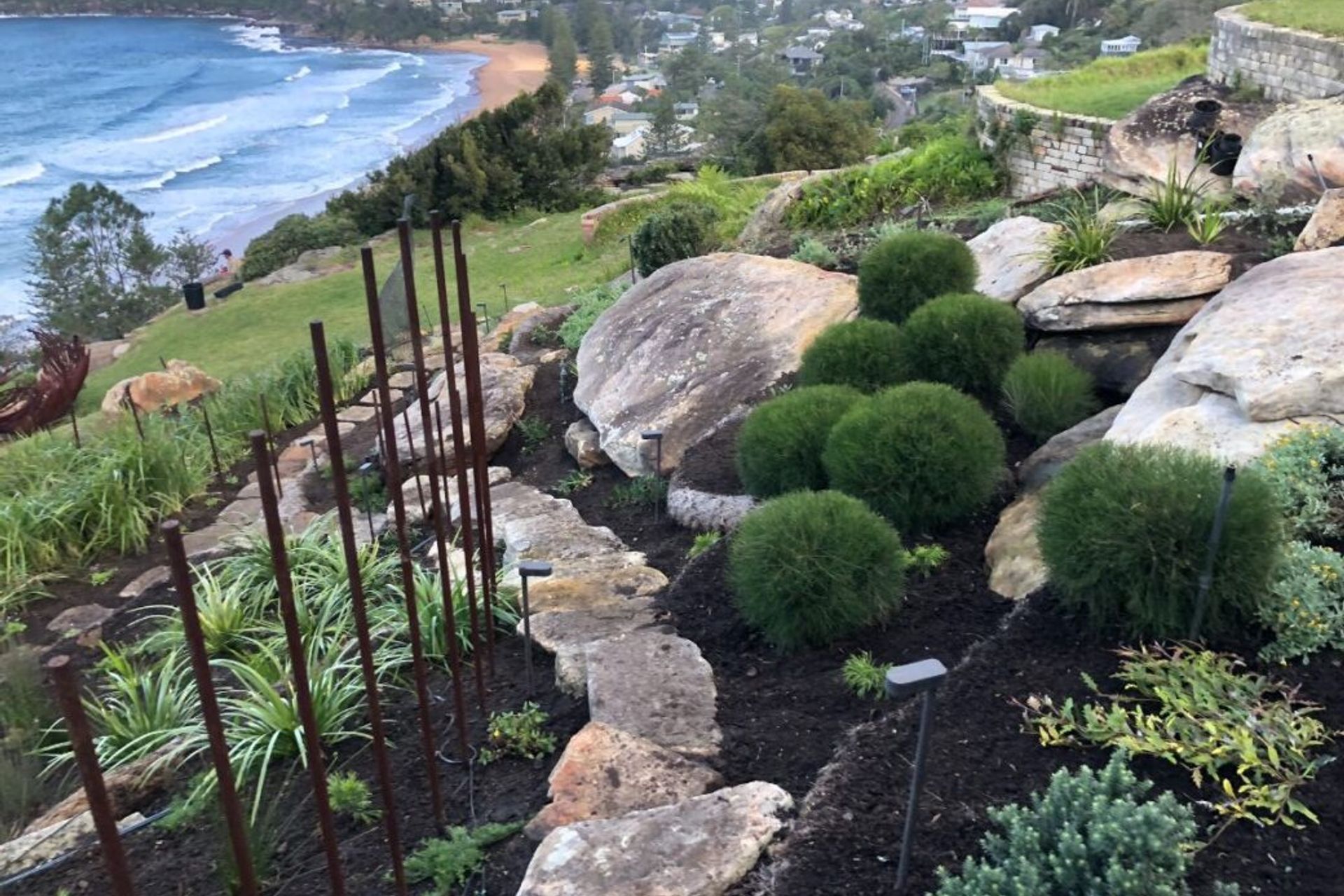 Plant selection above: Casuarina glauca ‘Green Wave’ (Casuarina She-Oak), Doryanthes excelsa (Gymea Lily), Rhagodia spinescens (Spiny Saltbush) and Grevillea ‘Poorinda Royal Mantle’ (Royal Mantle Grevillea).