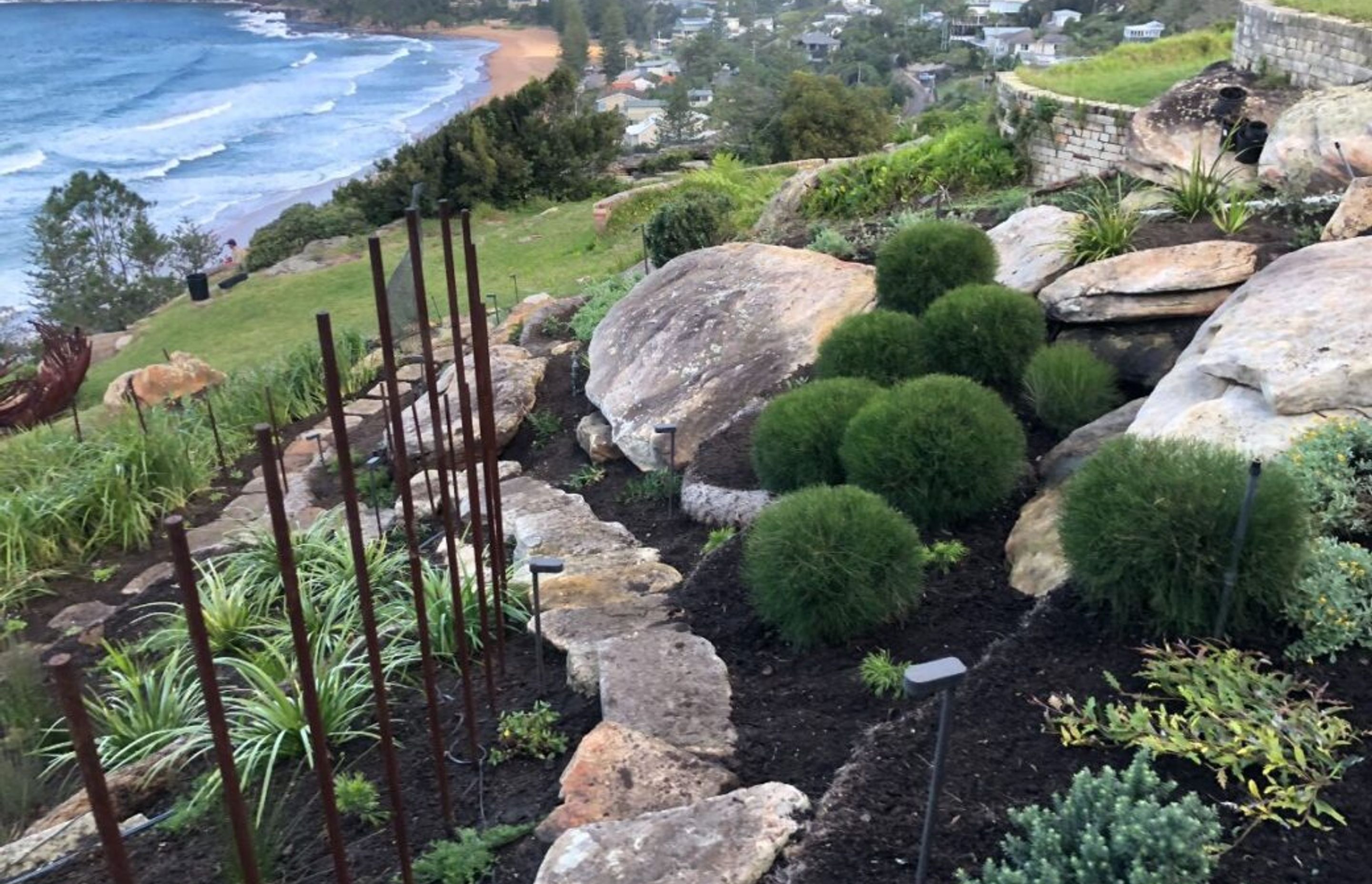 Plant selection above: Casuarina glauca ‘Green Wave’ (Casuarina She-Oak), Doryanthes excelsa (Gymea Lily), Rhagodia spinescens (Spiny Saltbush) and Grevillea ‘Poorinda Royal Mantle’ (Royal Mantle Grevillea).