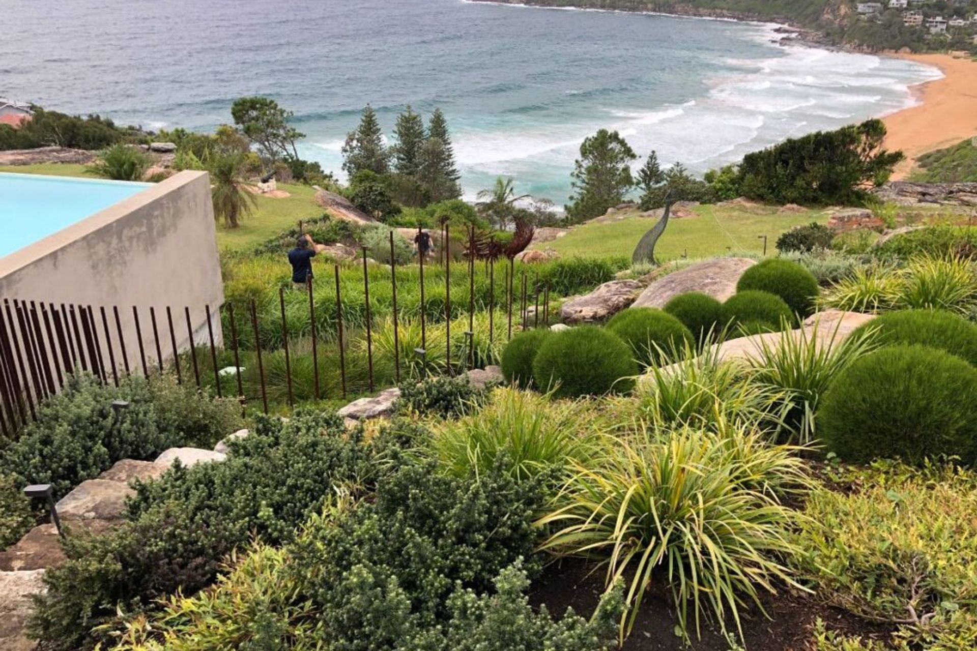 Plant selection above: Casuarina glauca ‘Green Wave’ (Casuarina She-Oak), Lomandra hystrix ‘Katie Belles’ (Mat Rush), Westringia fruticosa ‘Mundi’ (Coastal Rosemary), Banksia spinulosa ‘Birthday Candles’, Myoporum parvifolium ‘Yareena’, Grevillea ‘Poorind
