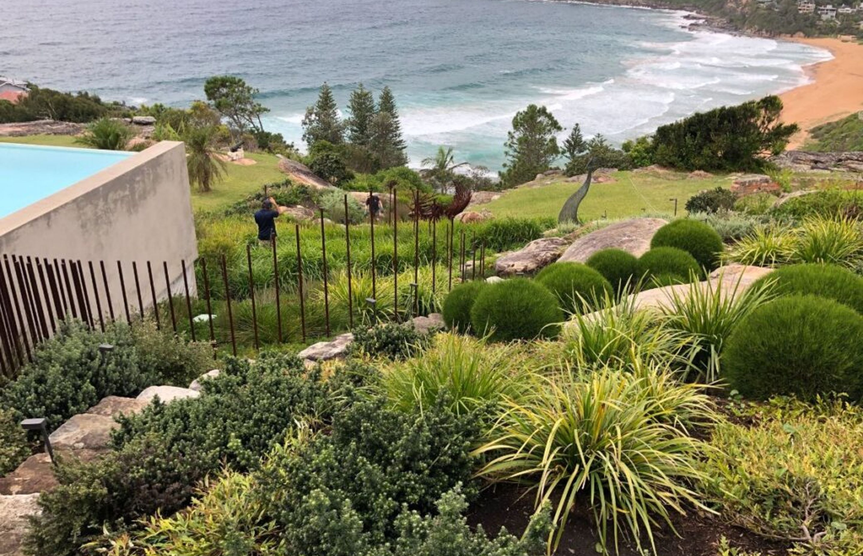 Plant selection above: Casuarina glauca ‘Green Wave’ (Casuarina She-Oak), Lomandra hystrix ‘Katie Belles’ (Mat Rush), Westringia fruticosa ‘Mundi’ (Coastal Rosemary), Banksia spinulosa ‘Birthday Candles’, Myoporum parvifolium ‘Yareena’, Grevillea ‘Poorind