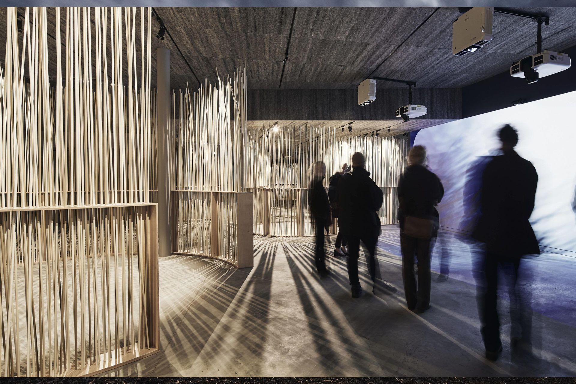 Penguin Parade Visitor Centre: A sustainable new timber home for Australia’s penguins