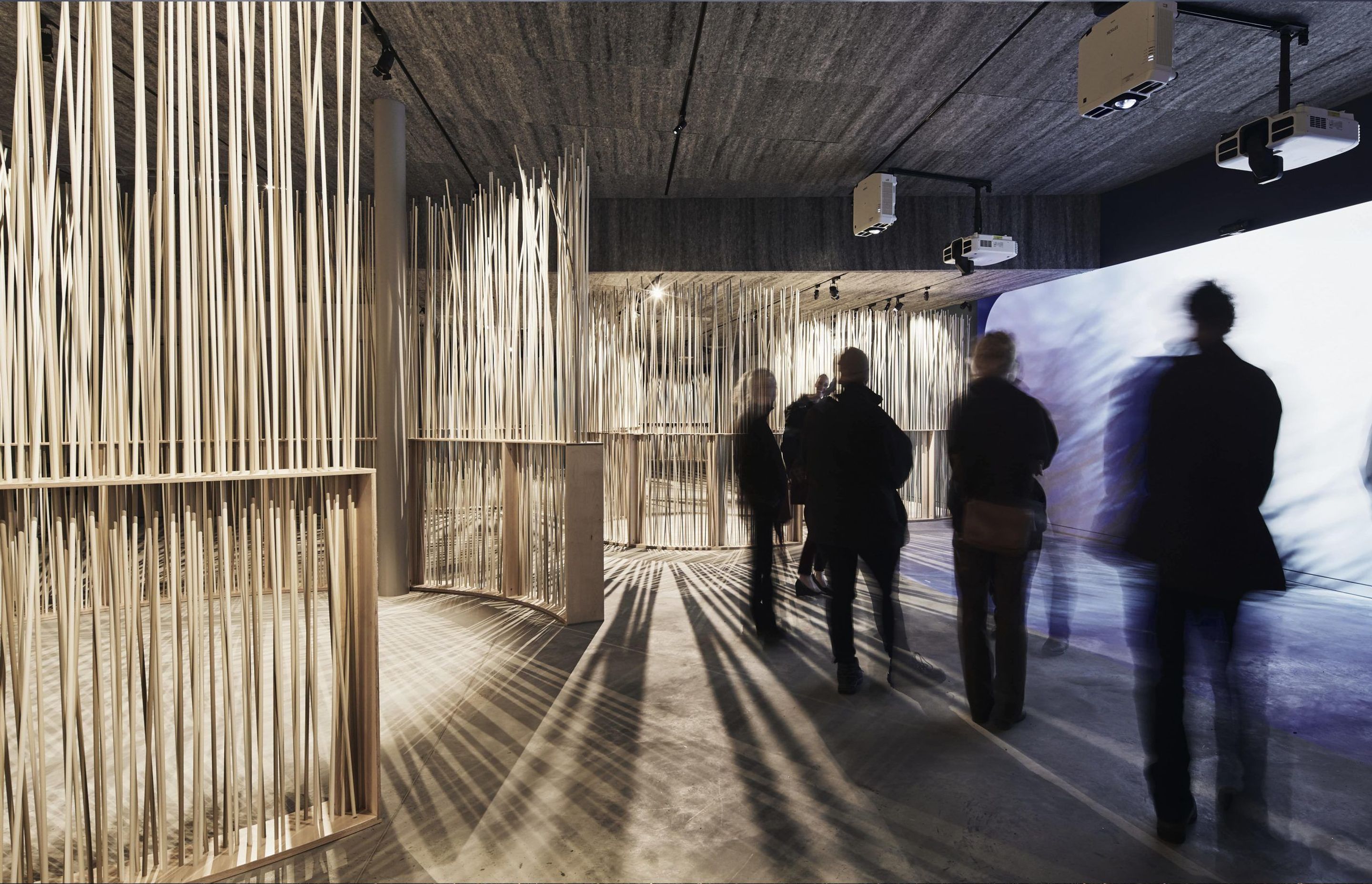 Penguin Parade Visitor Centre: A sustainable new timber home for Australia’s penguins