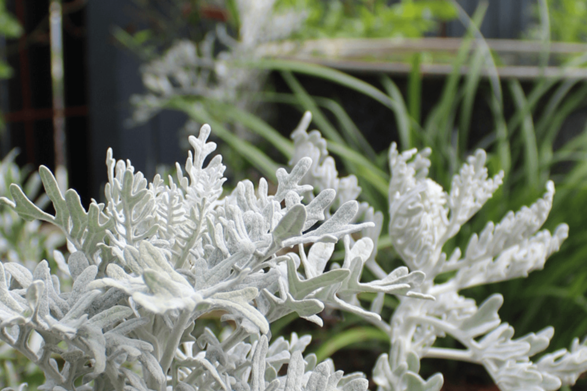 Palmview Residence | Bare Roots Design Studio