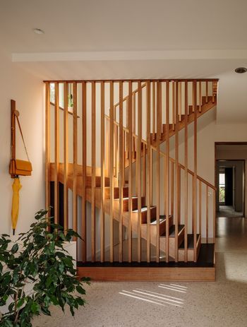 ParkHouseDiMaseArchitectsstairwellTrevorMein.jpg