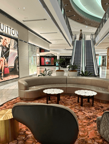 Premium-Surface-Protection-Louis-Vuitton2-Pacific-Fair.png