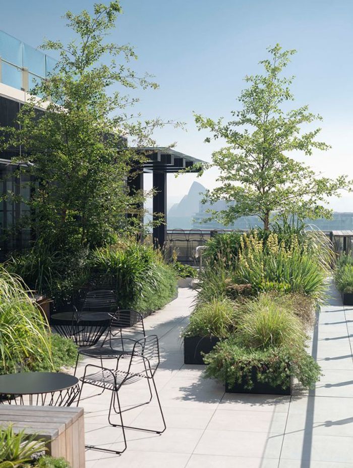 Raising the roof – The beauty and benefits of rooftop gardens