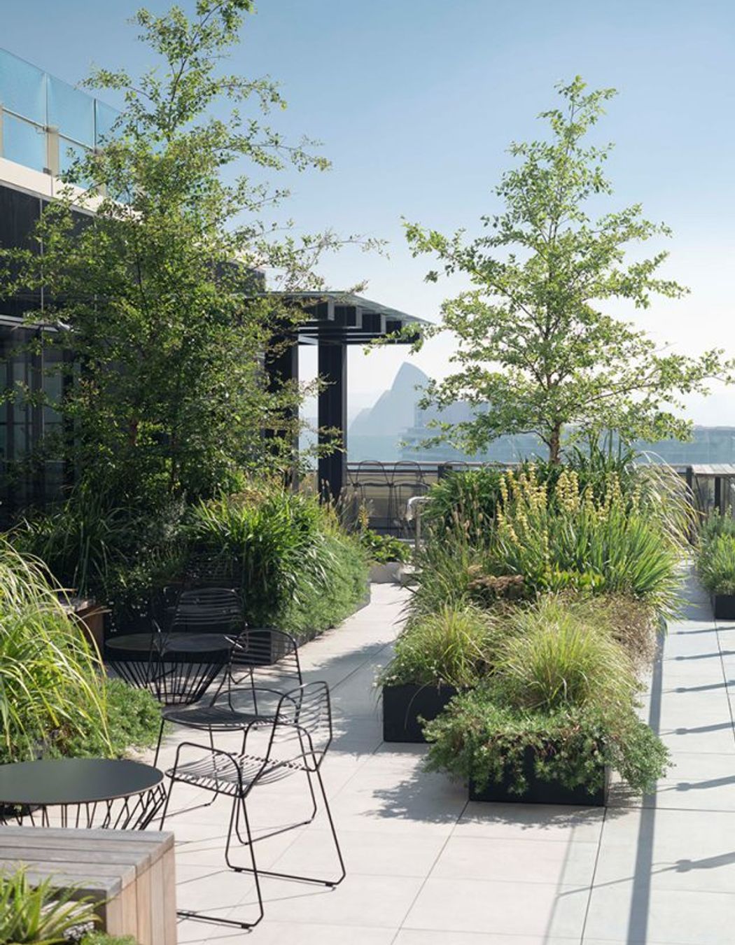 Raising the roof – The beauty and benefits of rooftop gardens