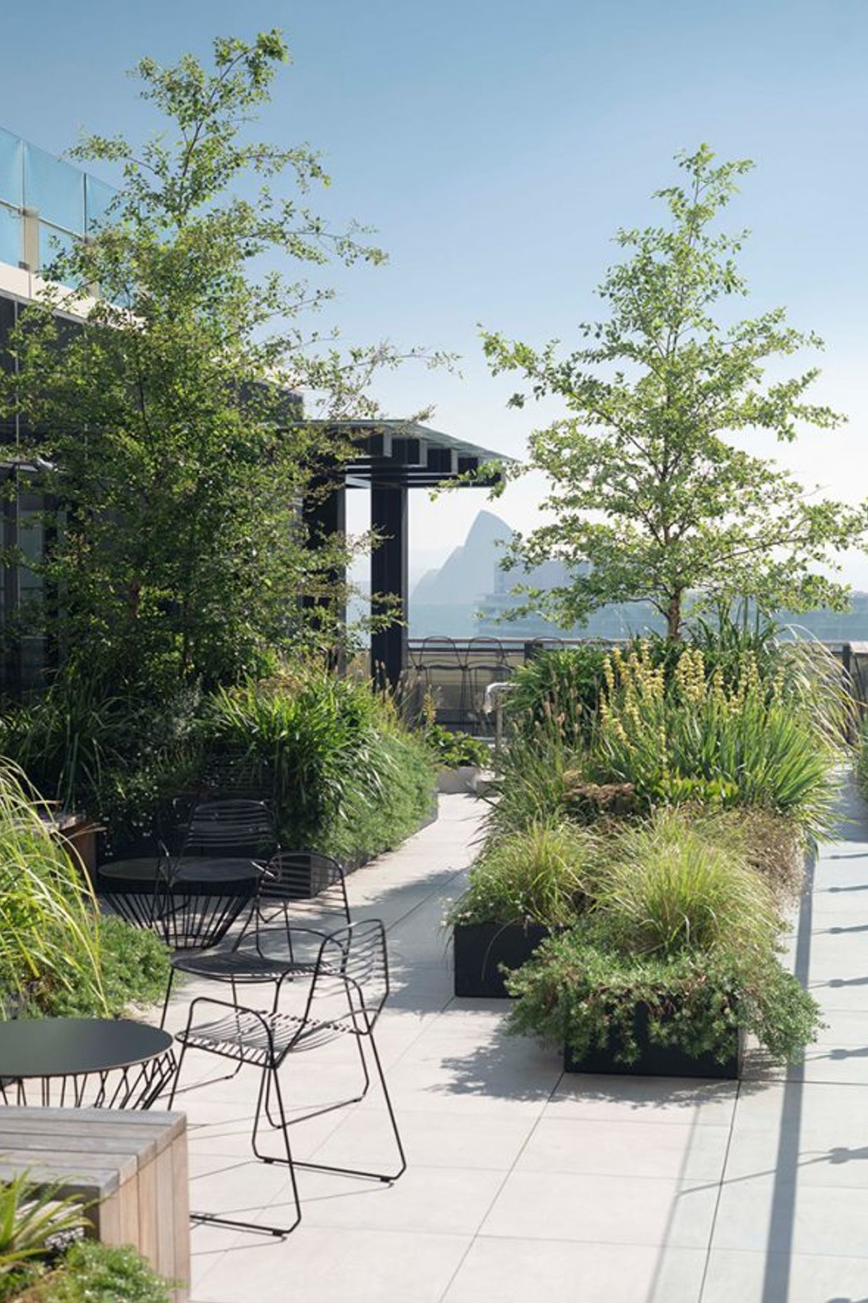 Raising the roof – The beauty and benefits of rooftop gardens