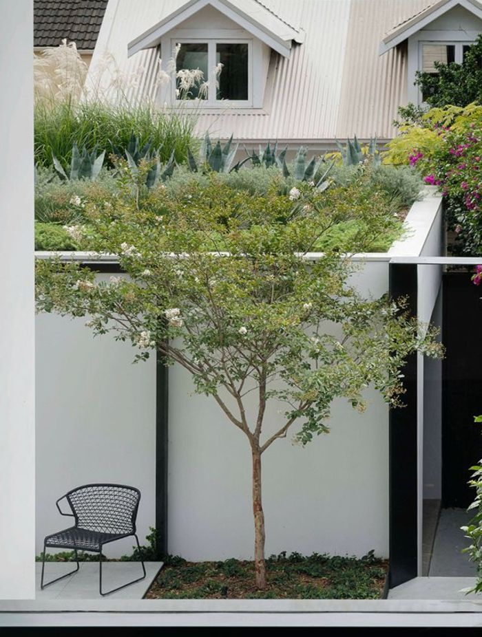 Raising the roof – The beauty and benefits of rooftop gardens
