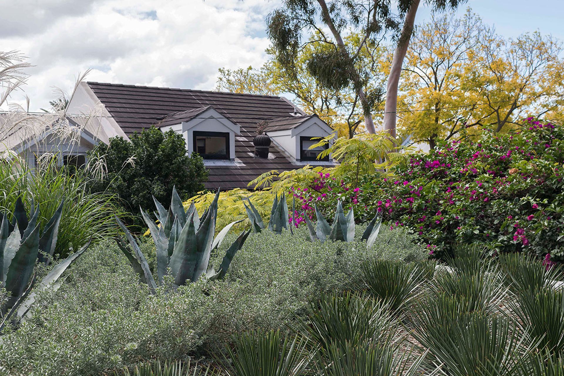 Raising the roof – The beauty and benefits of rooftop gardens