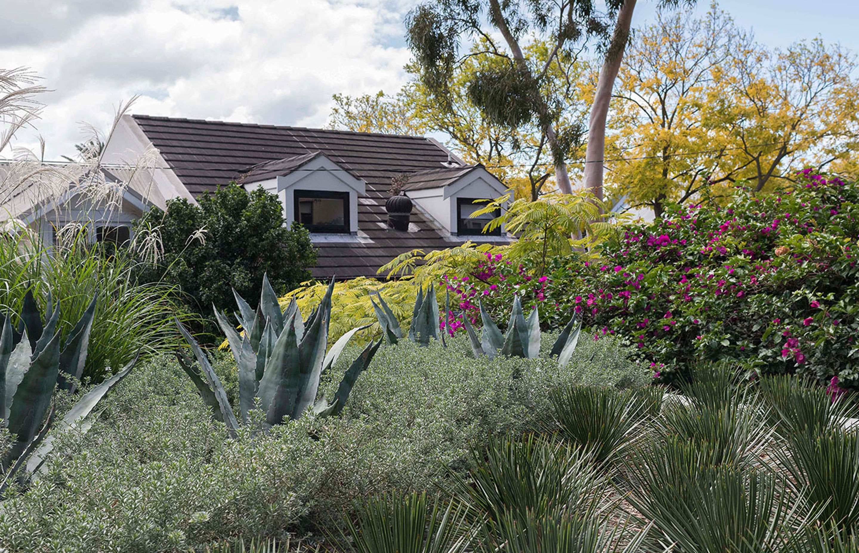 Raising the roof – The beauty and benefits of rooftop gardens