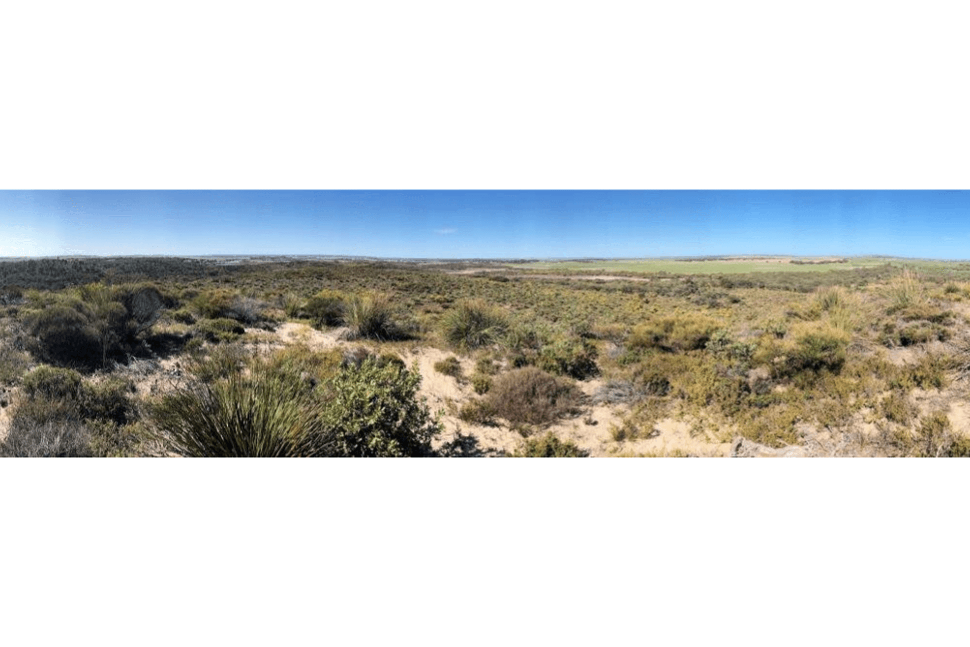 Schweigen is now Climate Positive