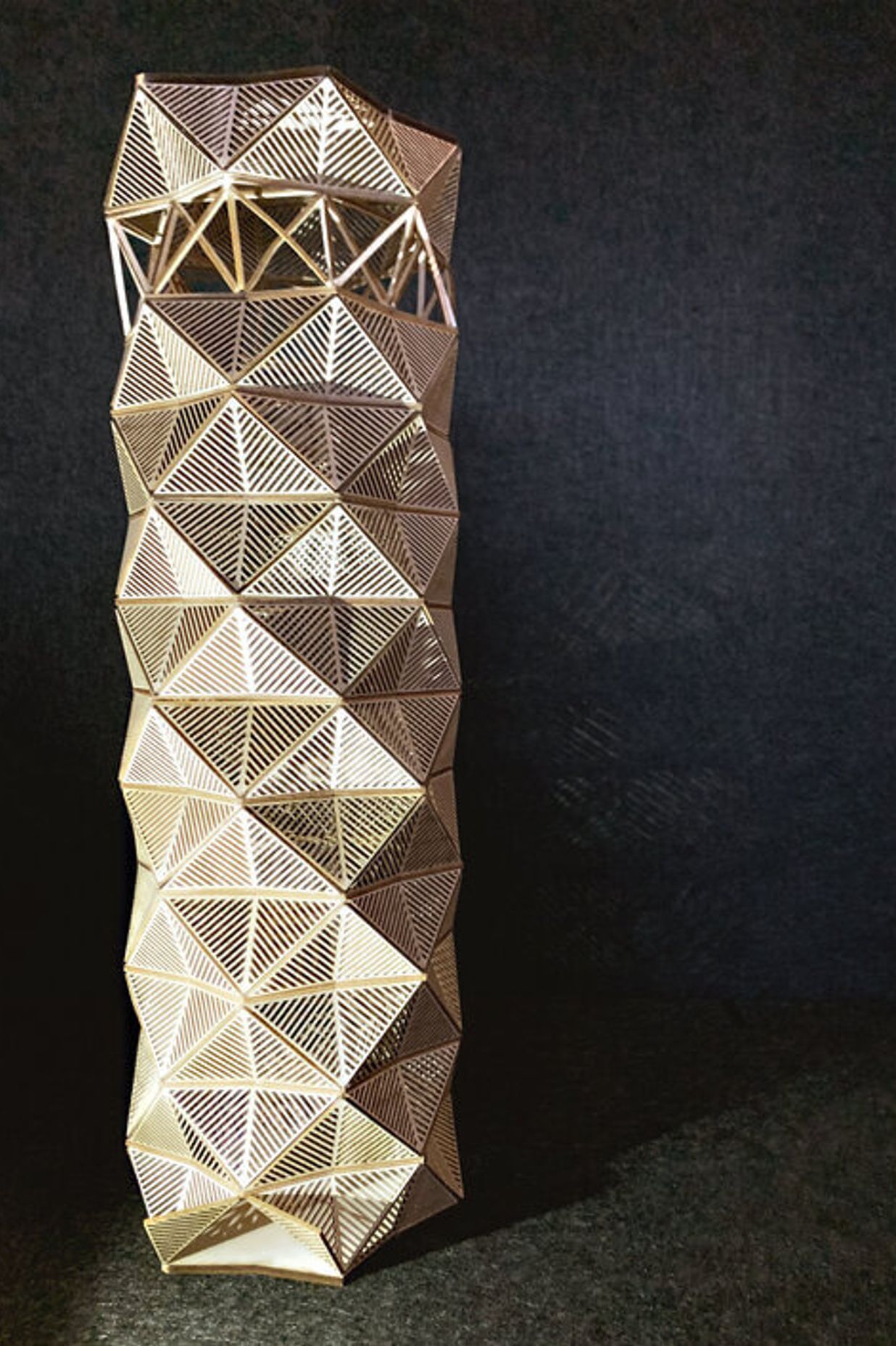 Responsible Wood connects with next generation of leaders in architecture