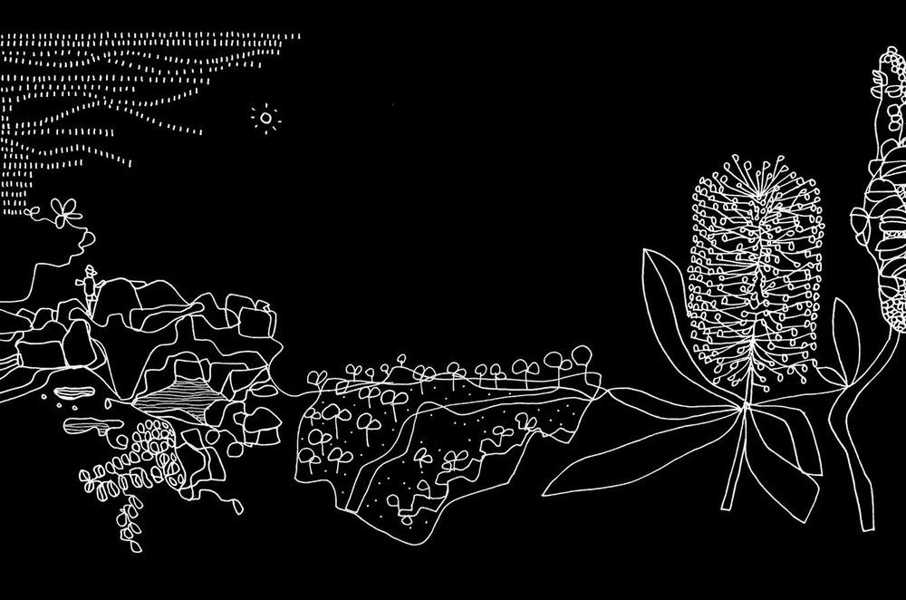 In Conversation with Director Lisa-Maree Carrigan on Design with Country