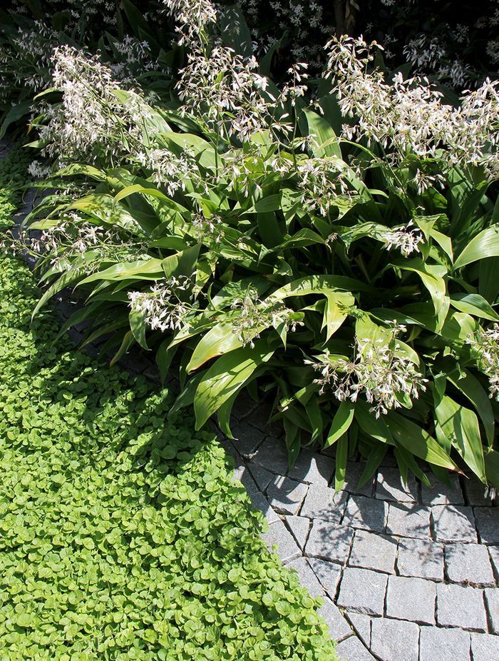 Rostill Court Barber Design | Photography by Barber Design