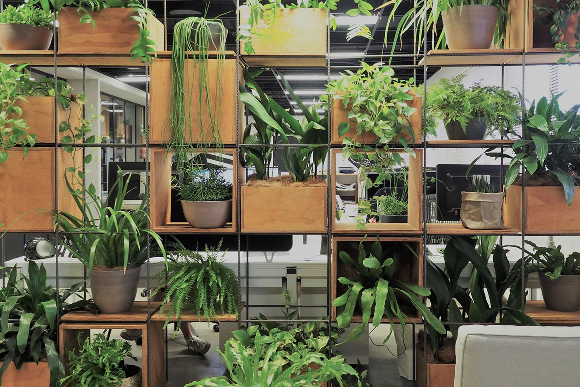 Everyday Biophilia