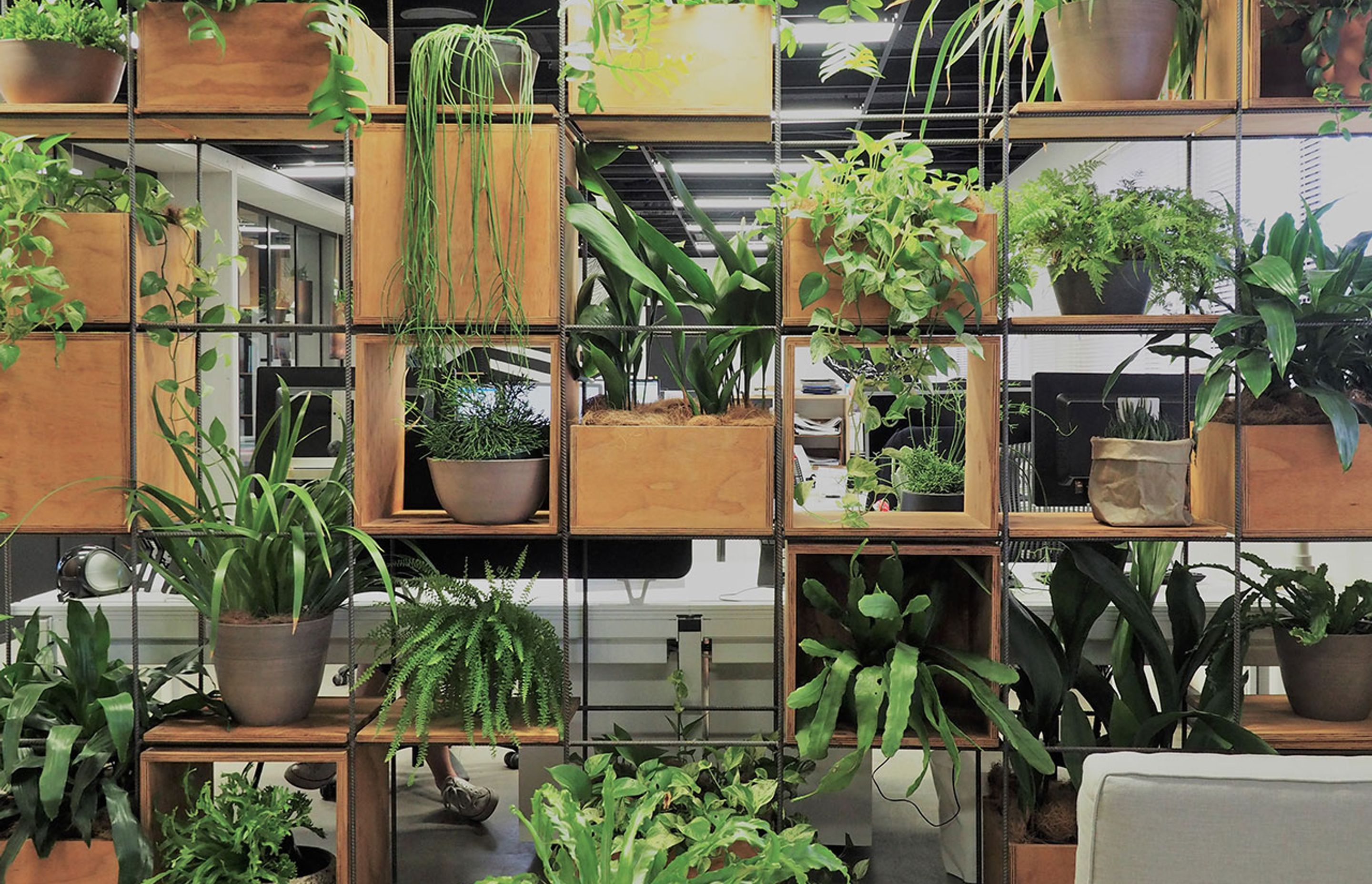 Everyday Biophilia