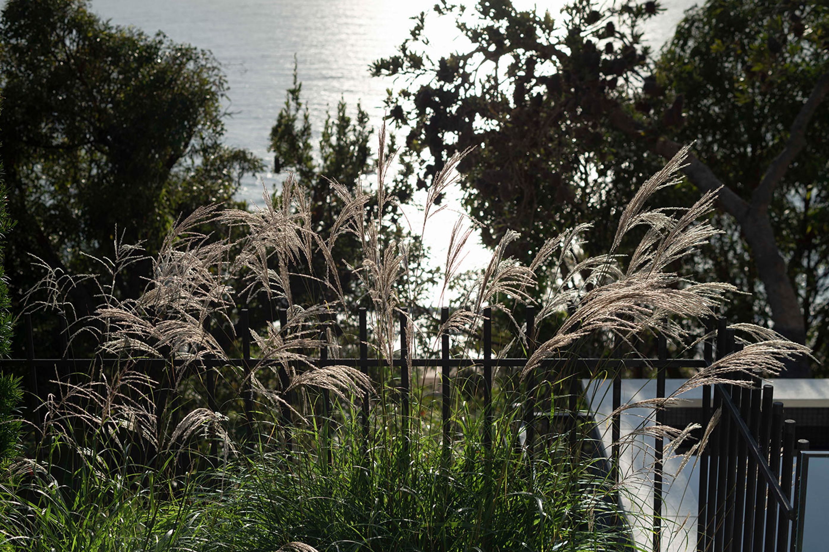 Seaside Gardens