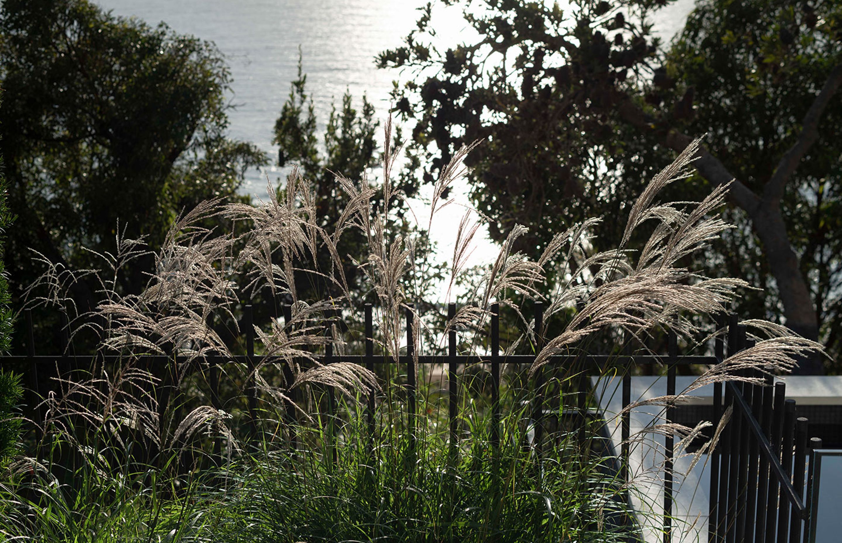Seaside Gardens