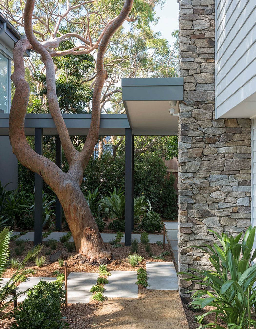 Why it’s Time to Stop Throwing Shade at Trees