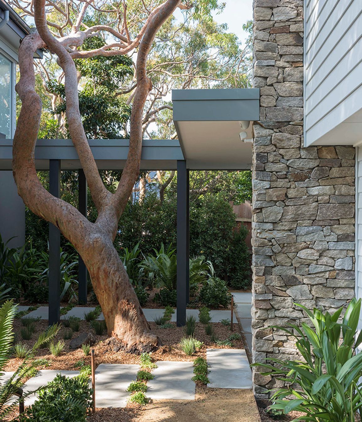 Why it’s Time to Stop Throwing Shade at Trees