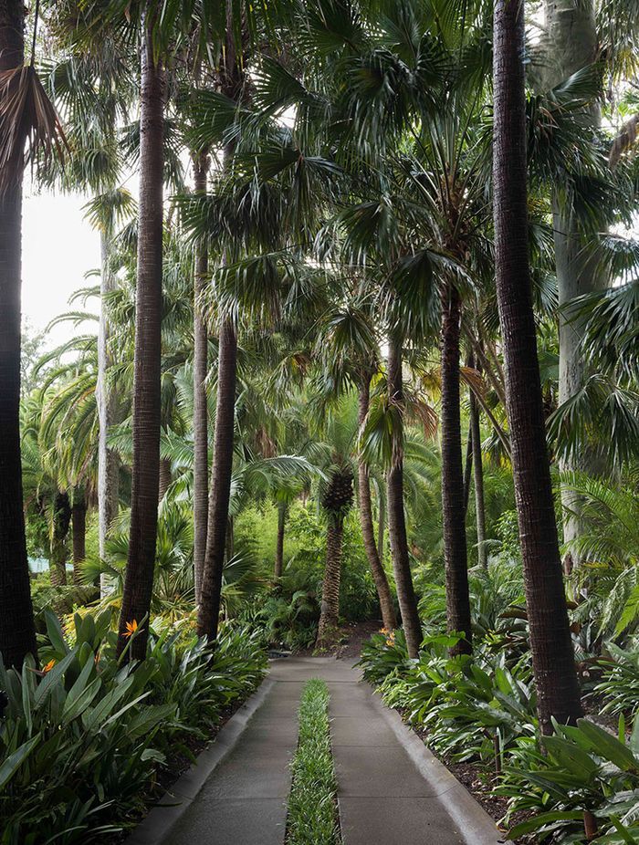 Why it’s Time to Stop Throwing Shade at Trees