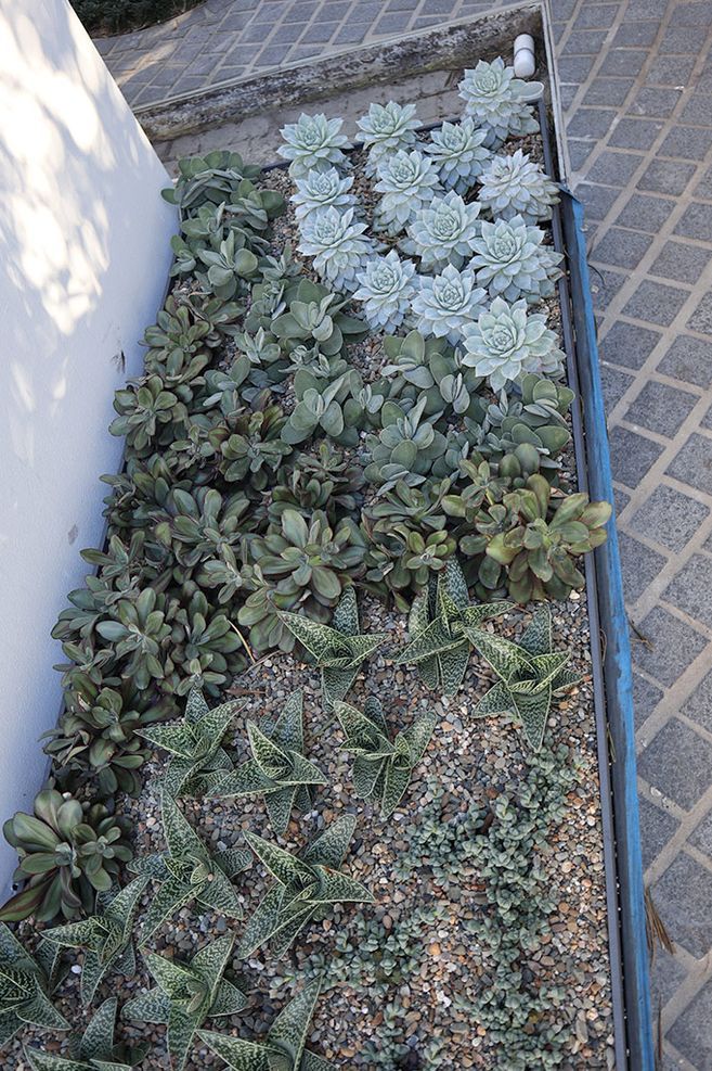 Soil Issues