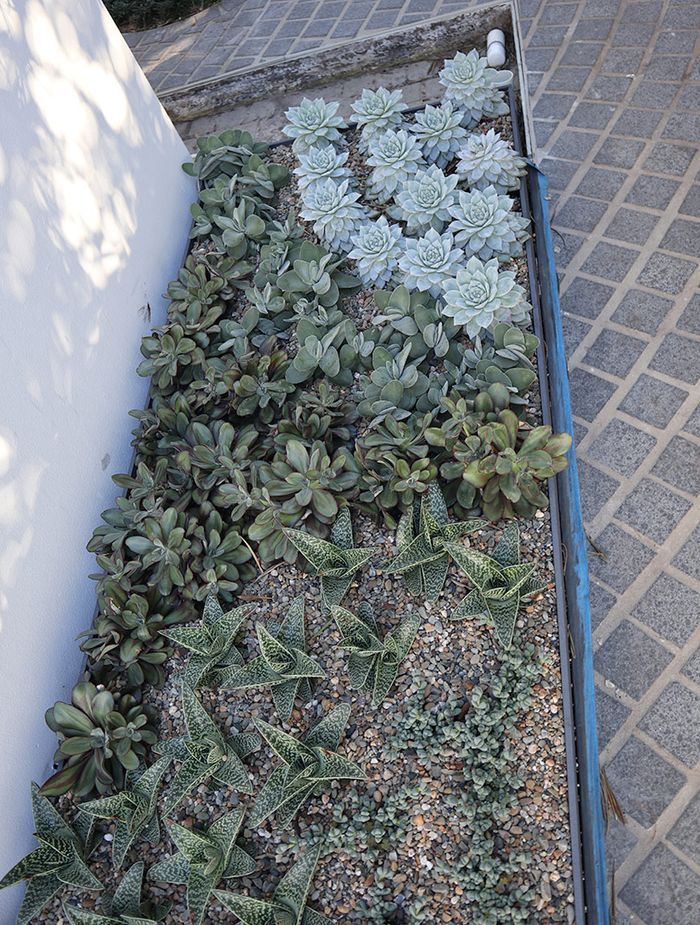 Soil Issues