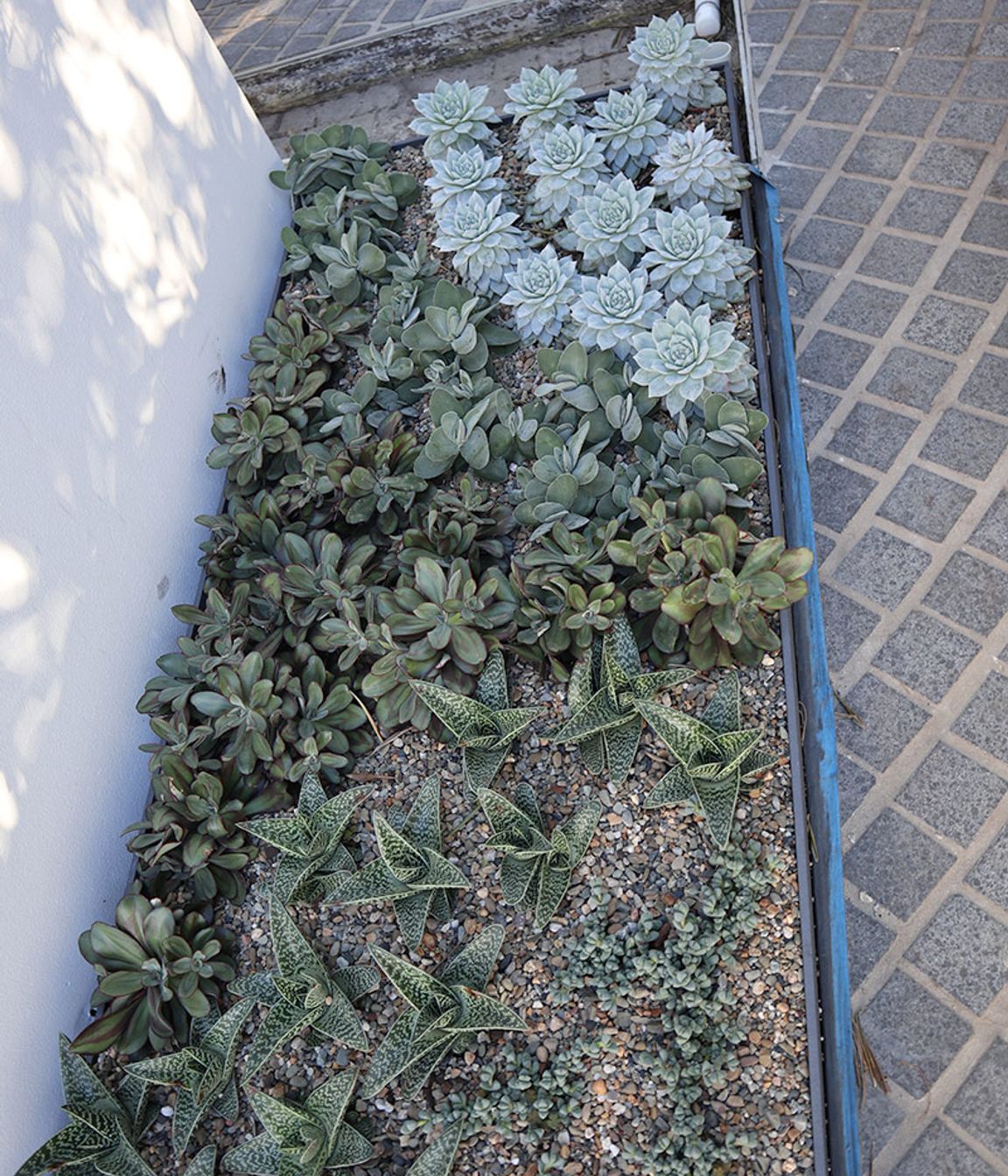 Soil Issues