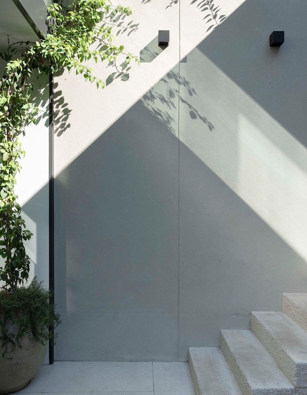 Gardening in the Time of Covid