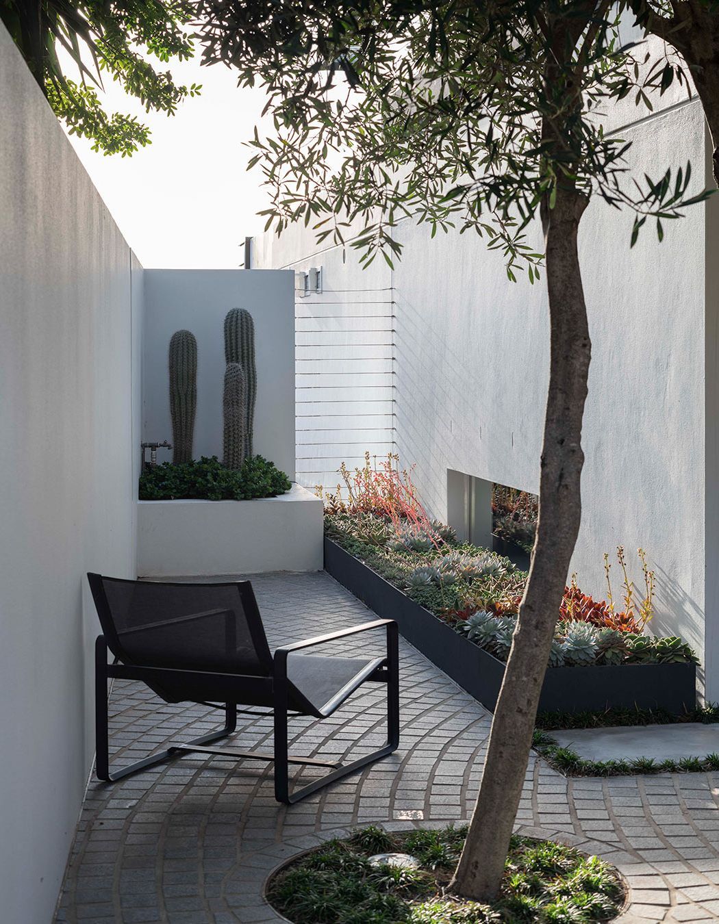 Gardening in the Time of Covid