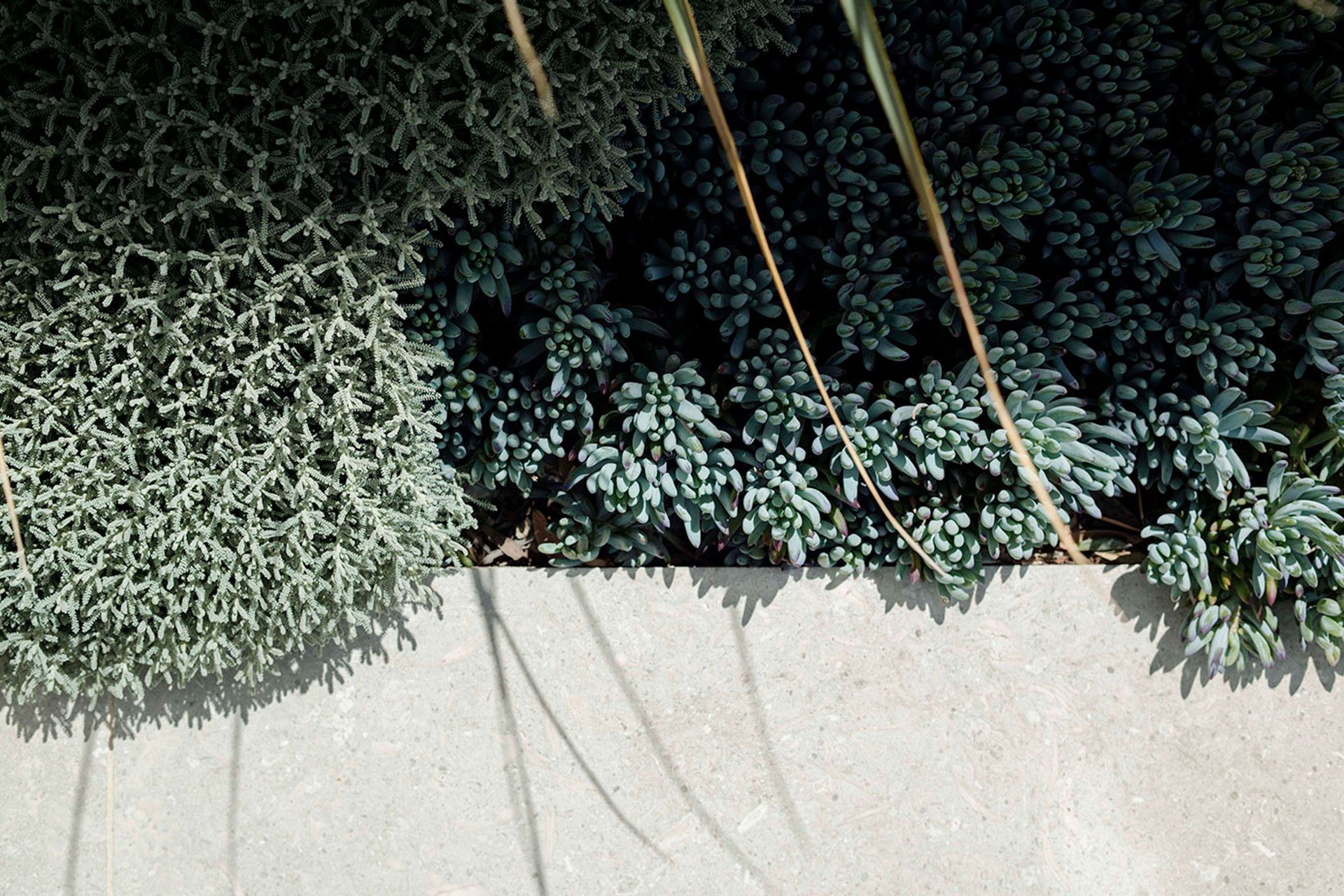 Matching Your Garden to Your Home