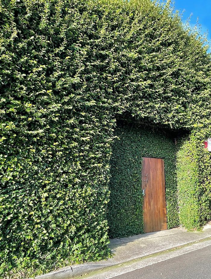 Borrowed Landscape: Making more of the humble laneway
