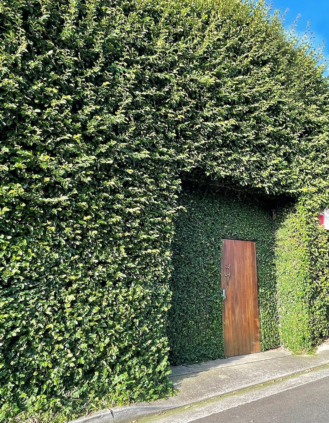 Borrowed Landscape: Making more of the humble laneway