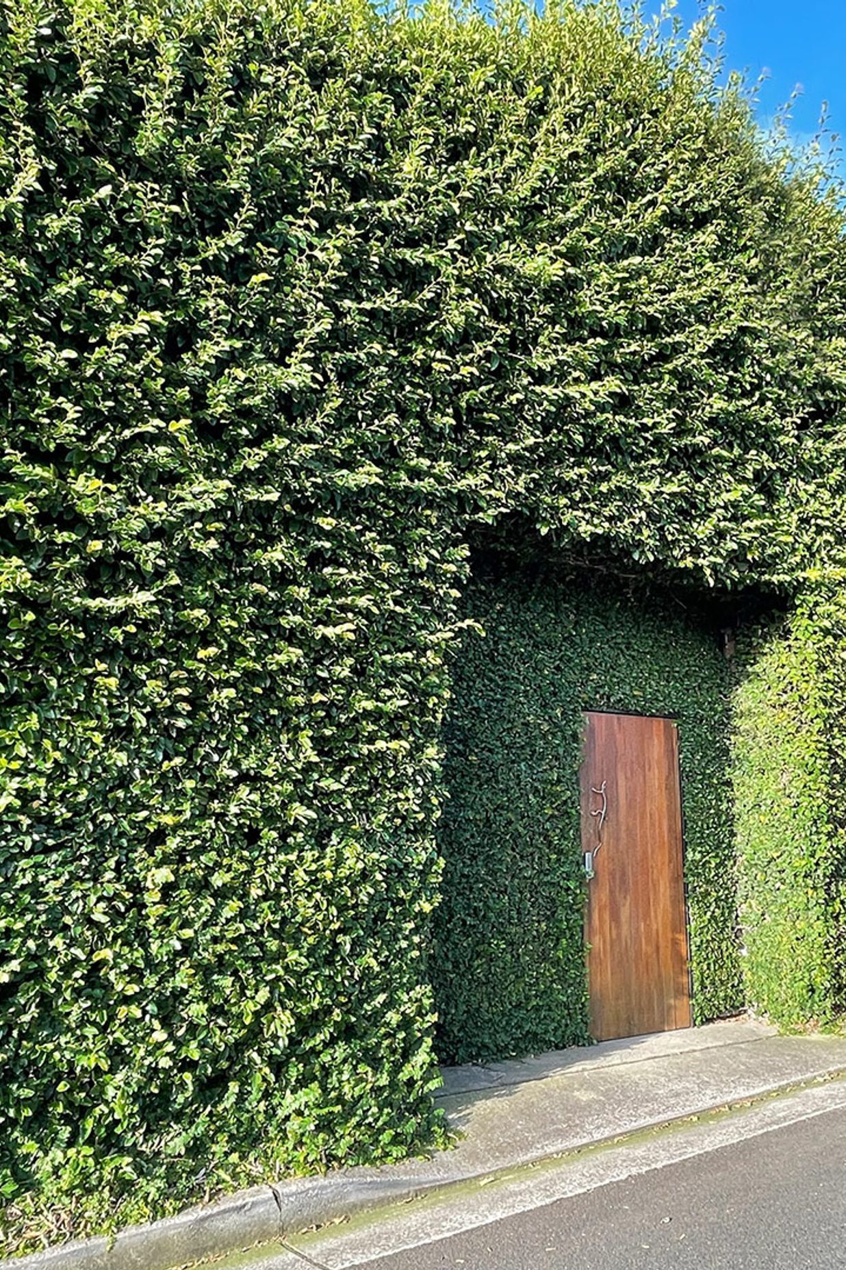 Borrowed Landscape: Making more of the humble laneway