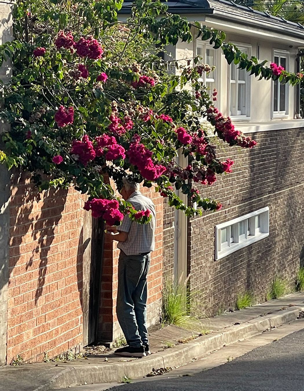 Borrowed Landscape: Making more of the humble laneway