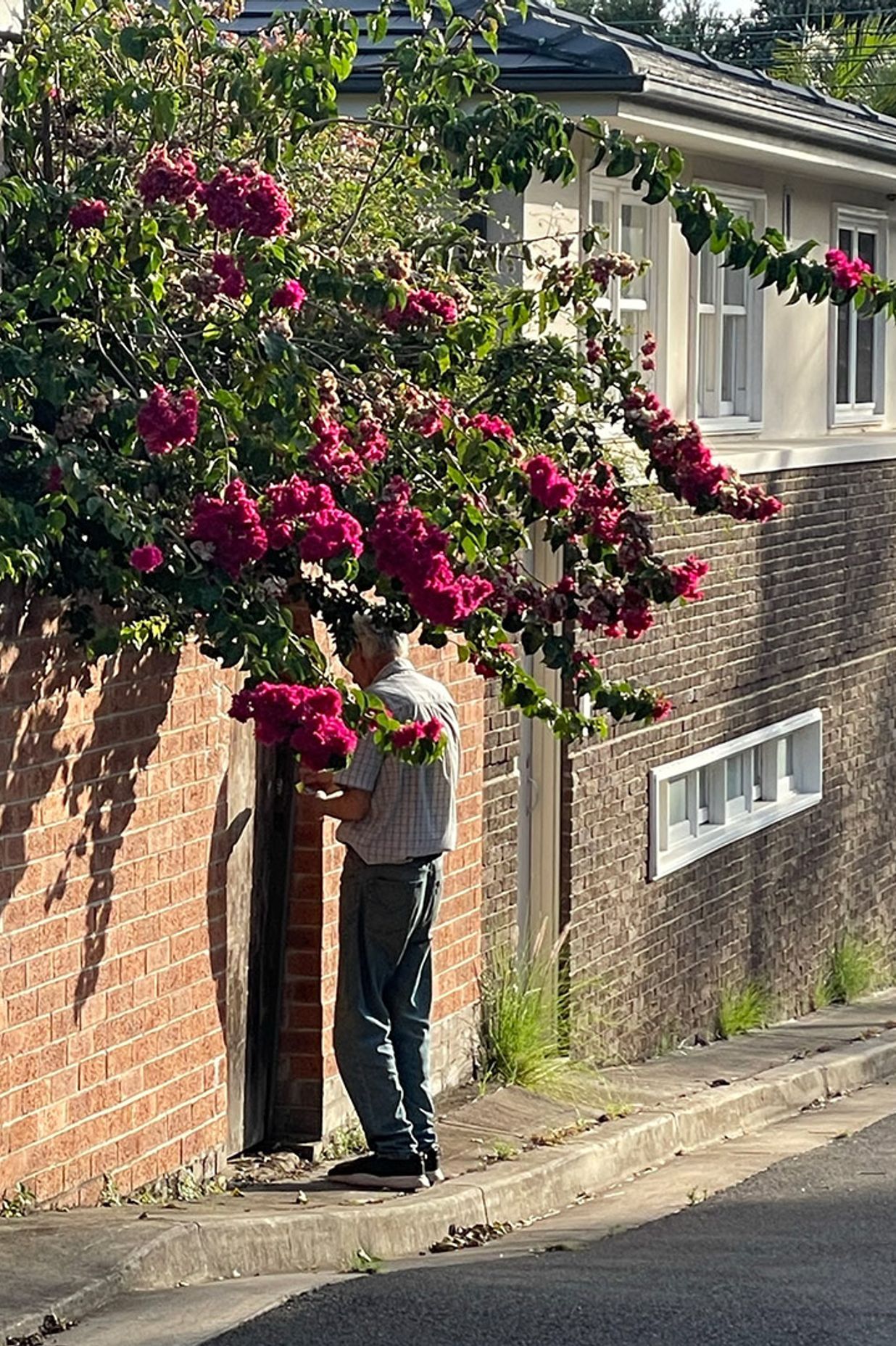 Borrowed Landscape: Making more of the humble laneway