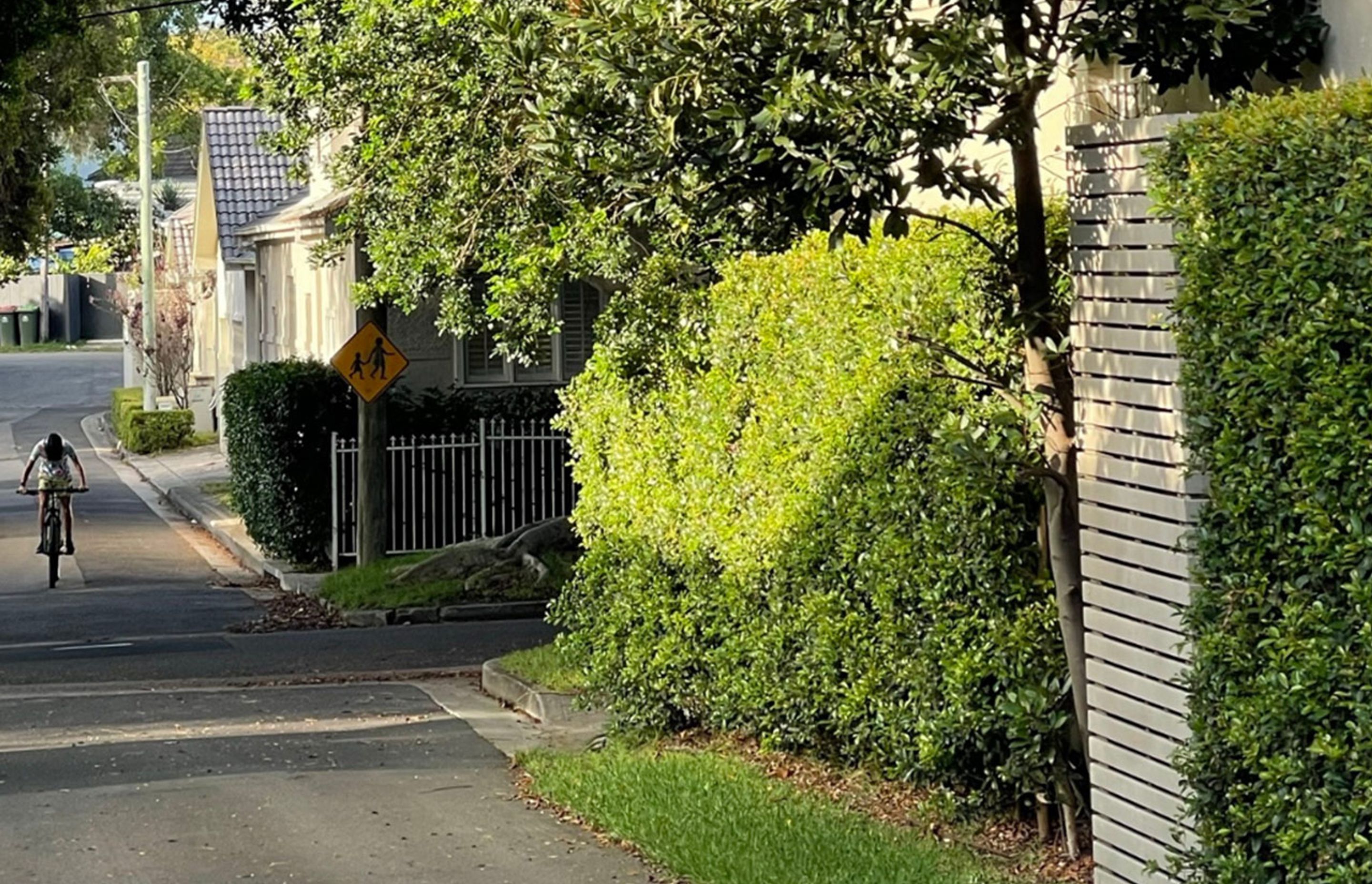 Borrowed Landscape: Making more of the humble laneway