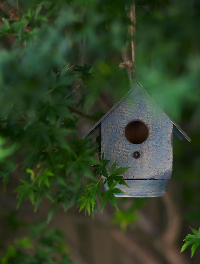 Tackling Climate Change in your own Backyard