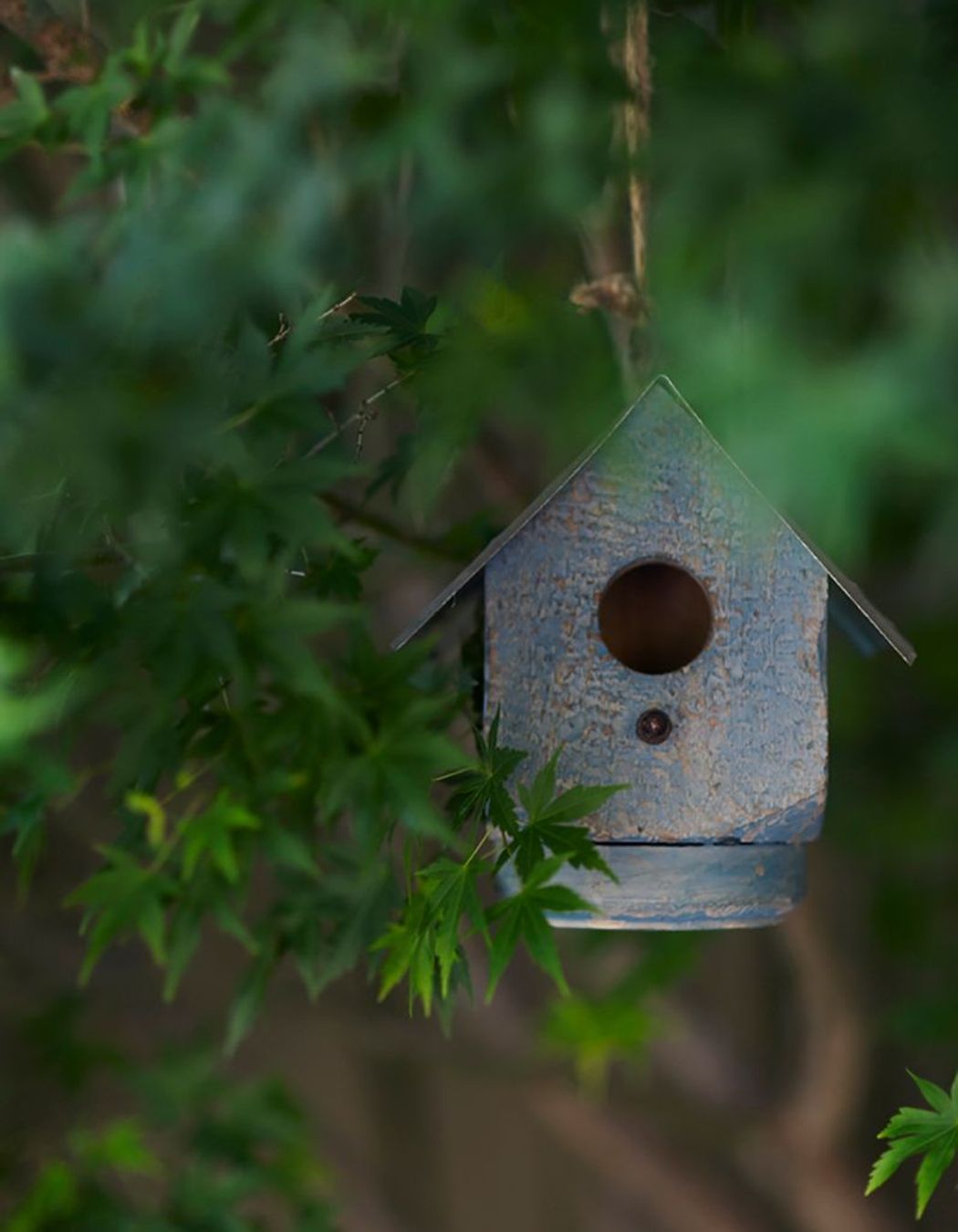 Tackling Climate Change in your own Backyard