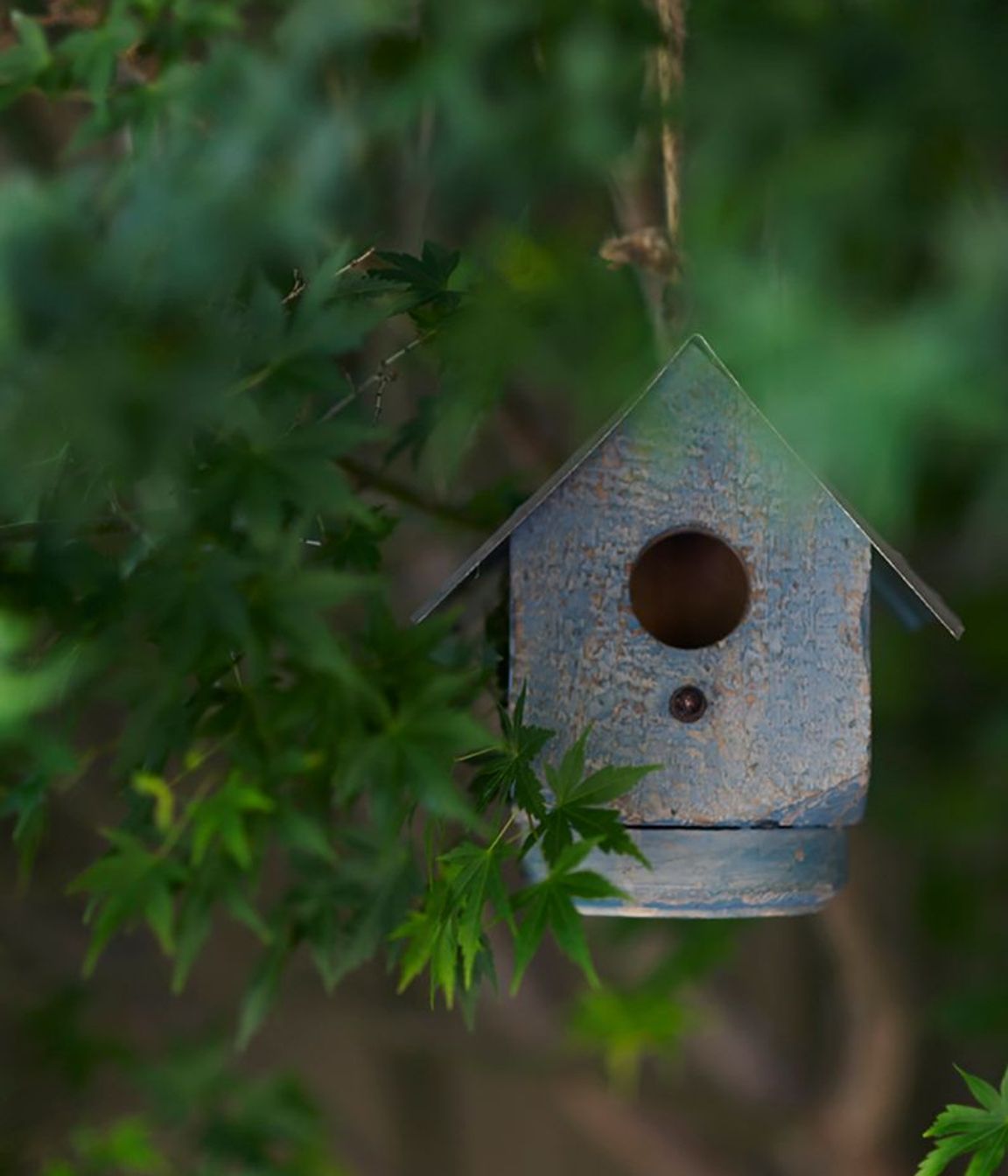 Tackling Climate Change in your own Backyard