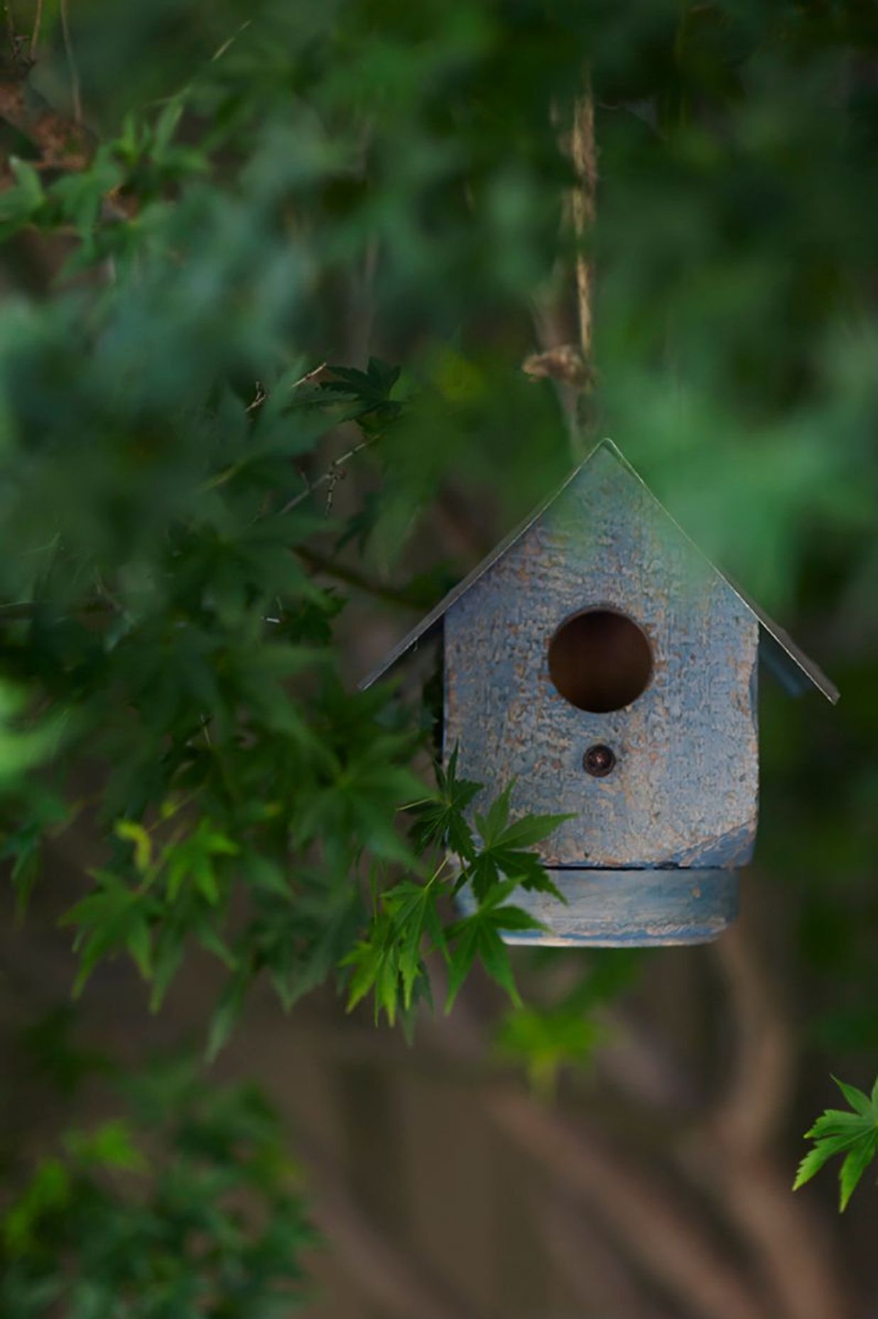 Tackling Climate Change in your own Backyard