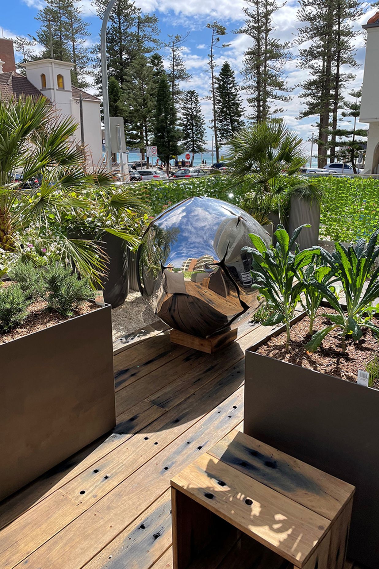 The End of the Veggie Patch