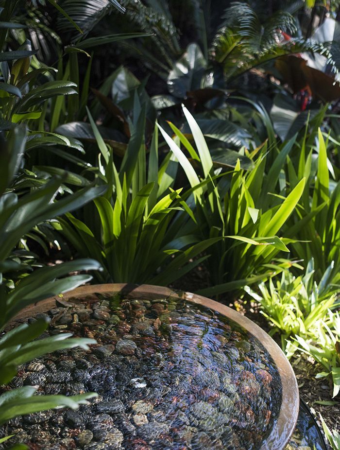 Water Features