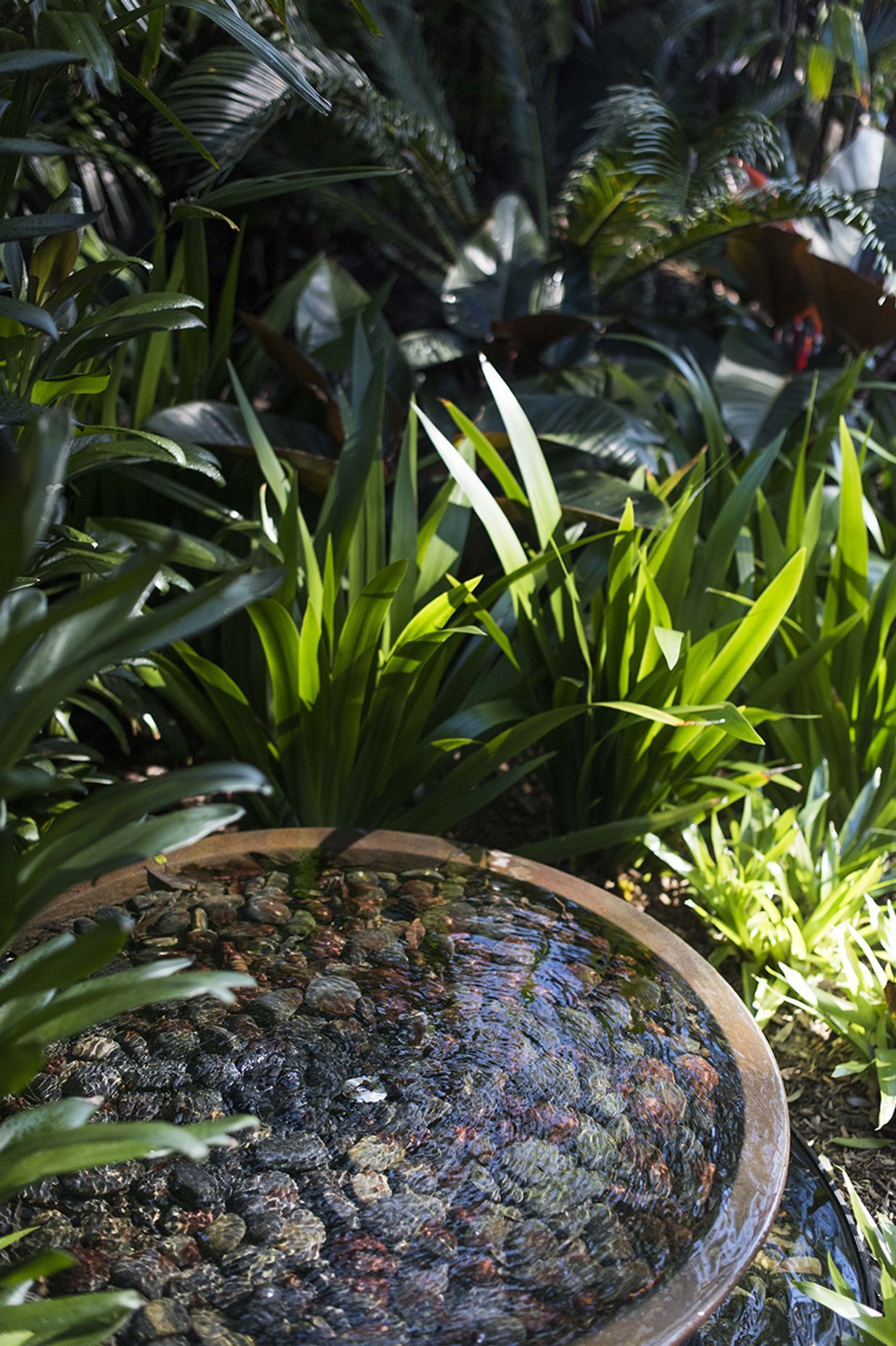 Water Features